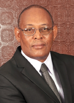 Insuring Growth - The Business Year